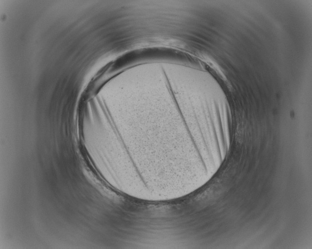 X0000066101080200604071816