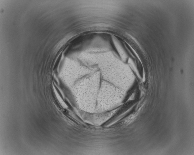 X0000066101081200604071816