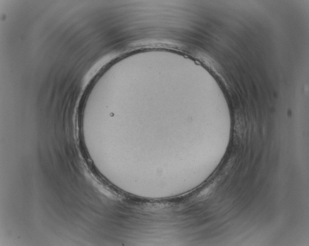 X0000066101082200604071816