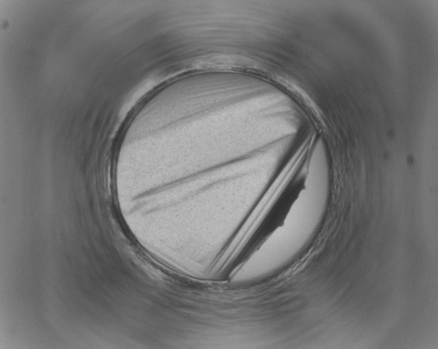 X0000066101083200604071816