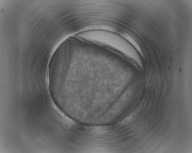 X0000066101084200604071816