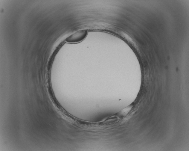 X0000066101085200604071816