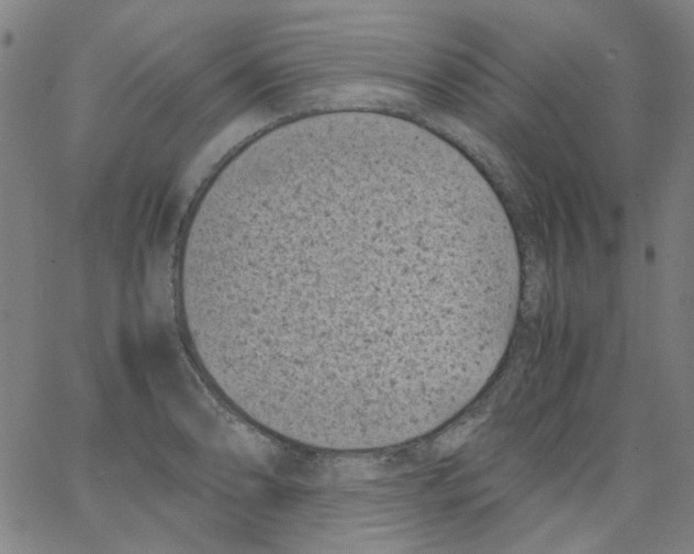 X0000066101086200604071816