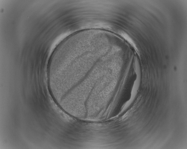 X0000066101088200604071816