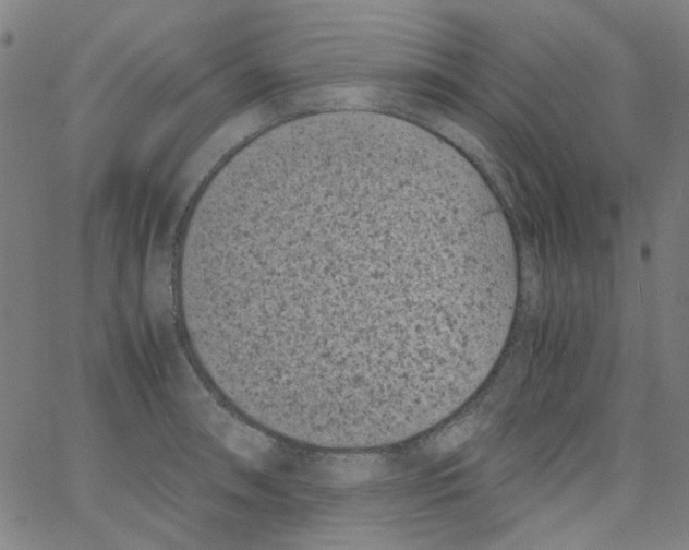 X0000066101090200604071816