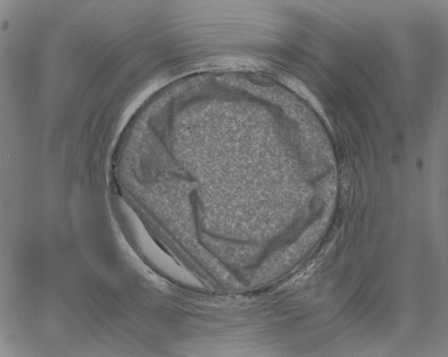 X0000066101091200604071816