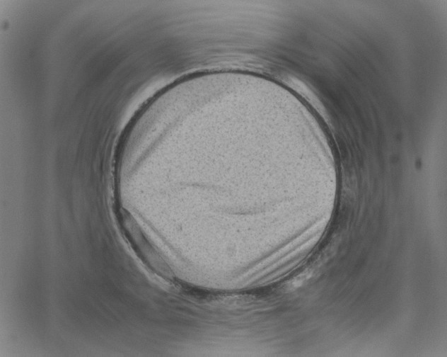 X0000066101093200604071816