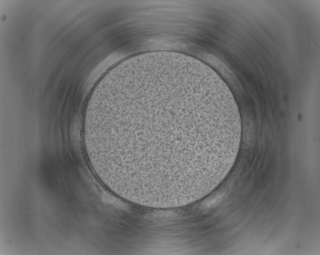 X0000066101094200604071816