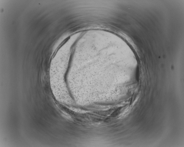 X0000066101097200604071816