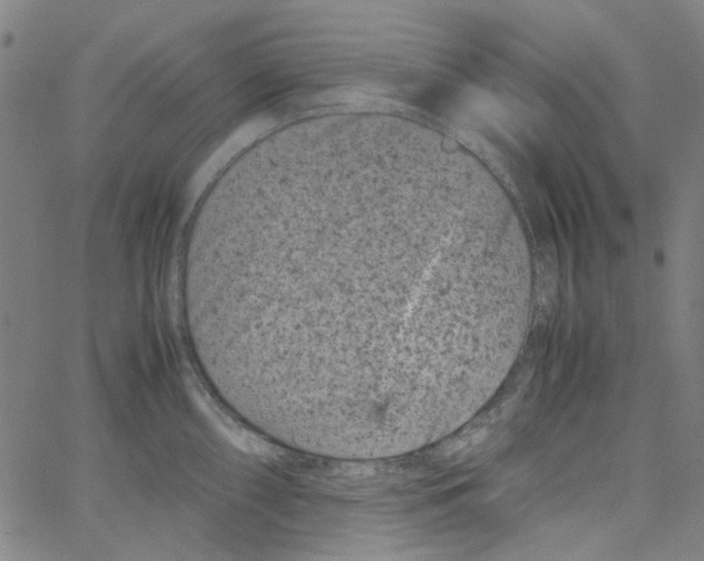 X0000066101098200604071816