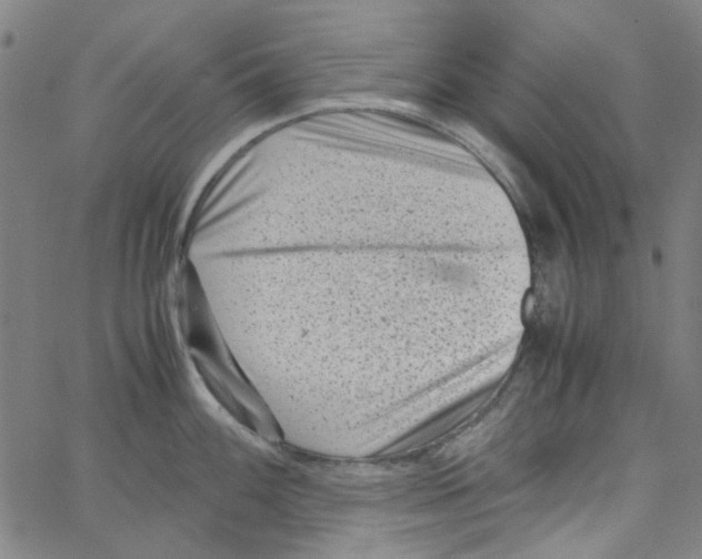 X0000066101100200604071816