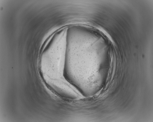 X0000066101101200604071816