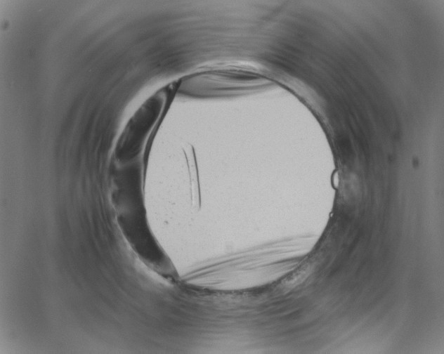 X0000066101102200604071816