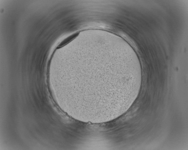 X0000066101104200604071816