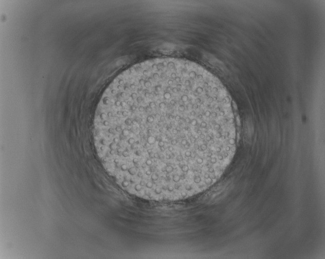 X0000066101105200604071815