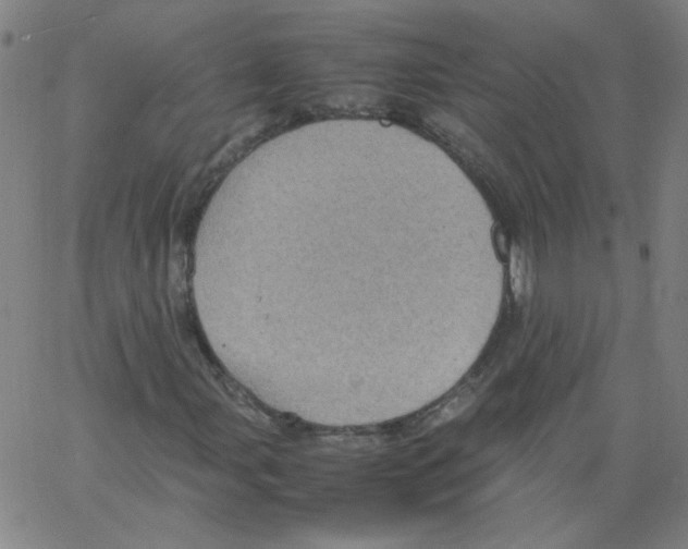 X0000066101107200604071815