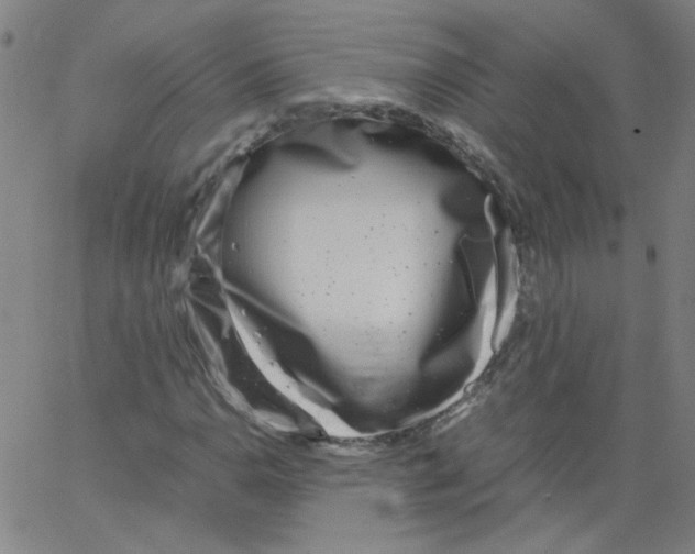 X0000066101110200604071815