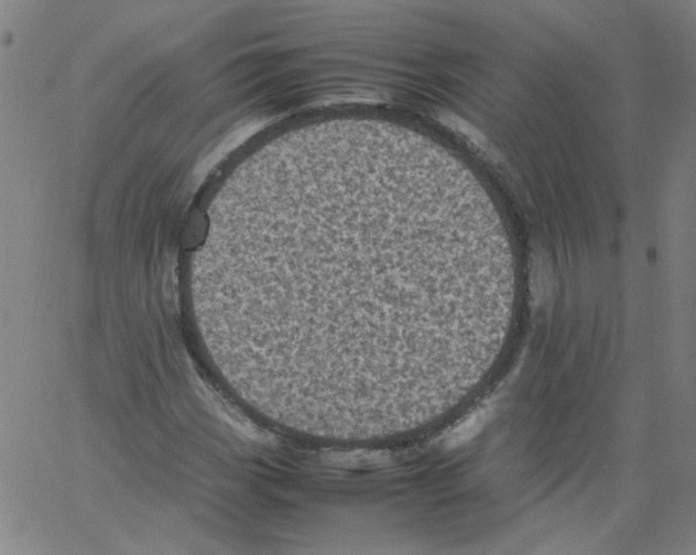 X0000066101113200604071815