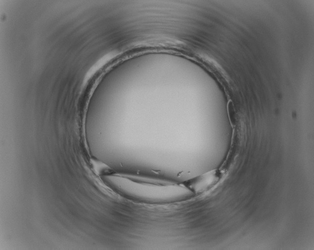 X0000066101114200604071815