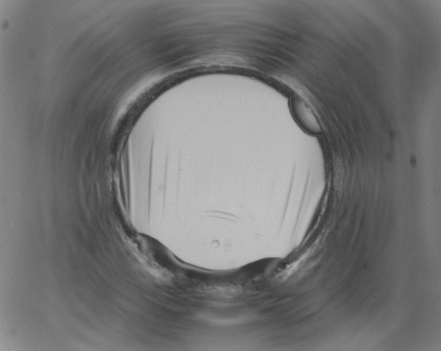 X0000066101115200604071815