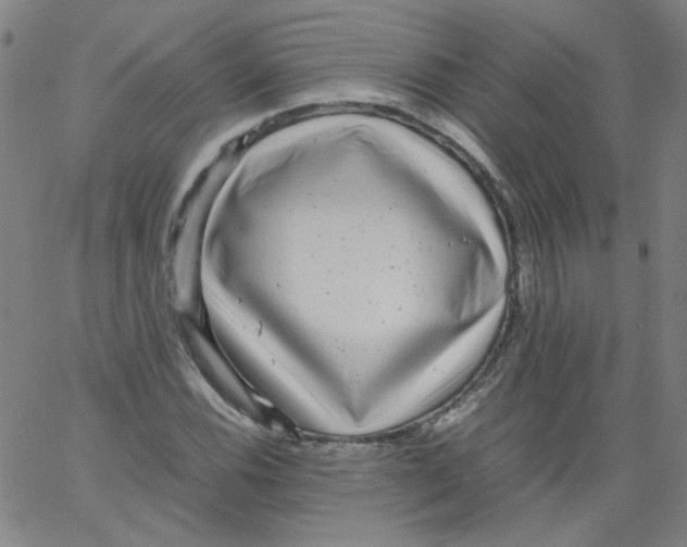 X0000066101116200604071815