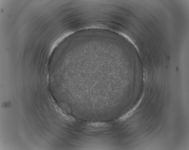 X0000066101117200604071815