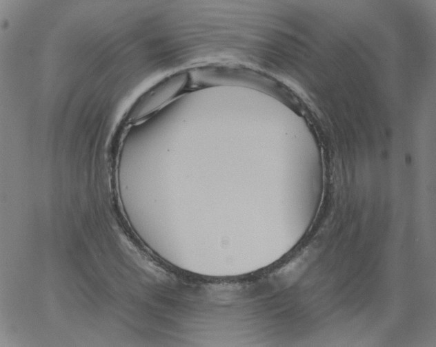 X0000066101118200604071815