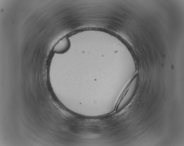 X0000066101119200604071815