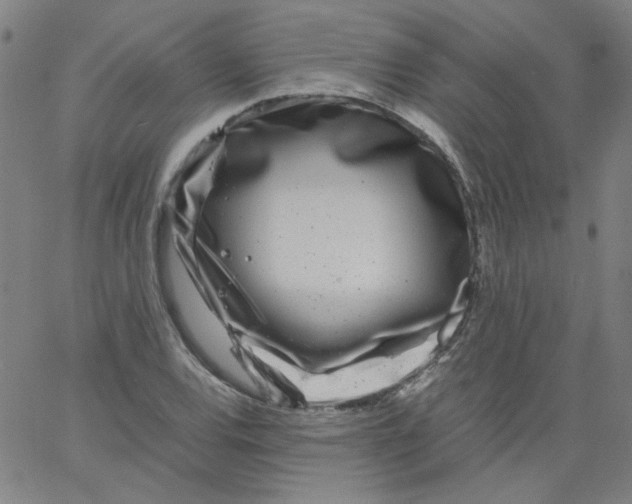 X0000066101120200604071815