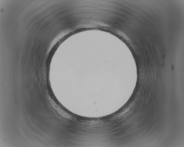 X0000066101122200604071815