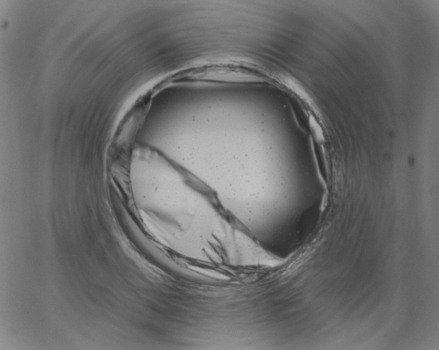 X0000066101124200604071815