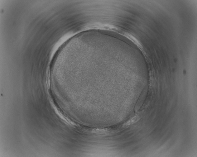 X0000066101128200604071815