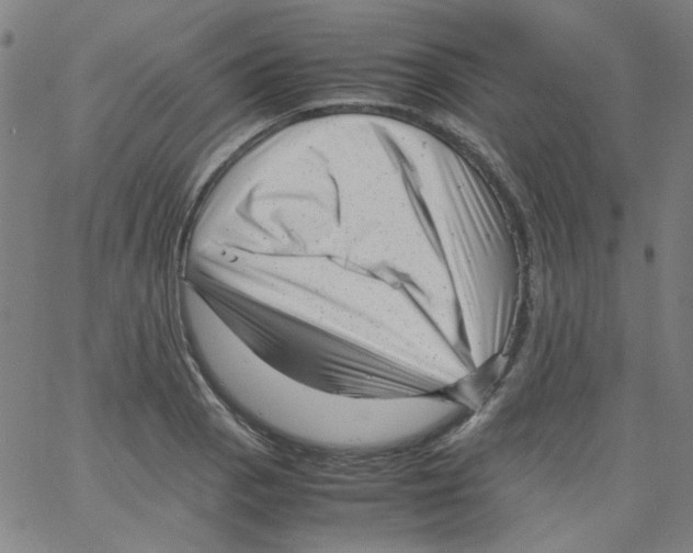 X0000066101129200604071815