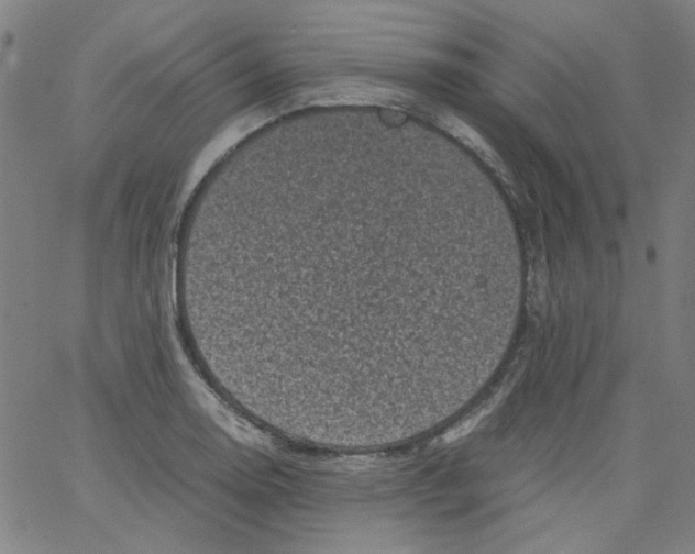 X0000066101130200604071815