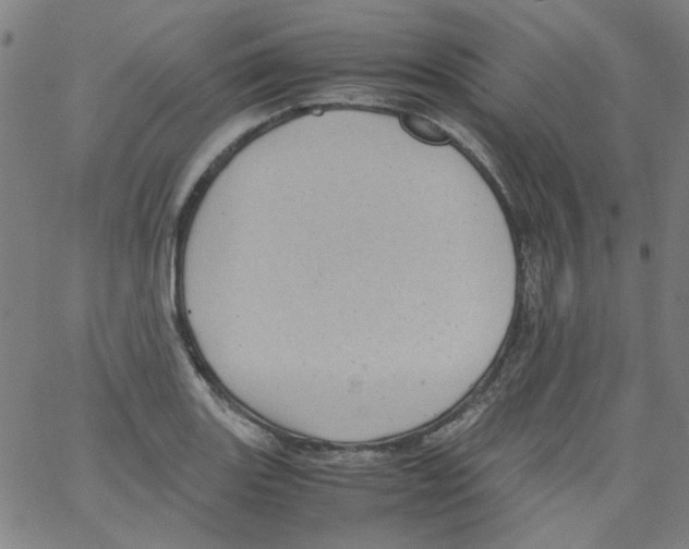 X0000066101131200604071816