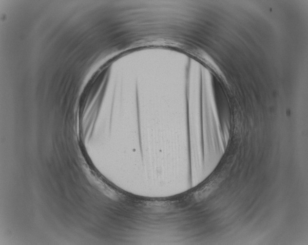 X0000066101132200604071816