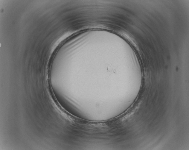 X0000066101133200604071816