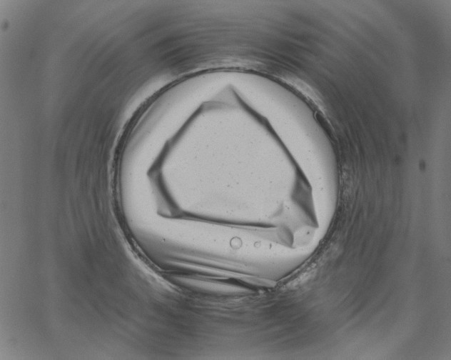 X0000066101135200604071816