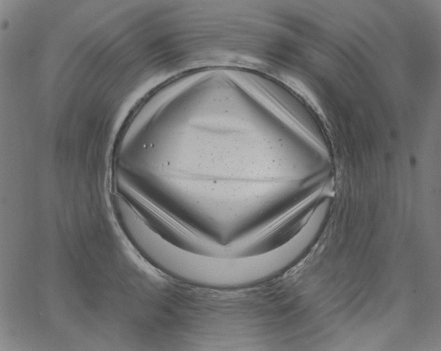 X0000066101136200604071816