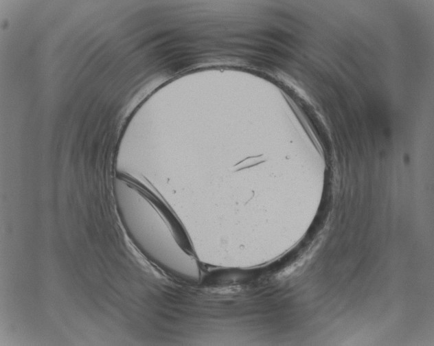 X0000066101137200604071816