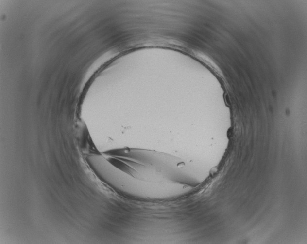 X0000066101138200604071816