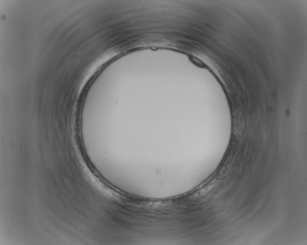 X0000066101139200604071816