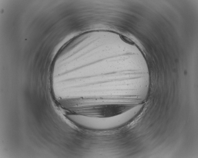 X0000066101142200604071816