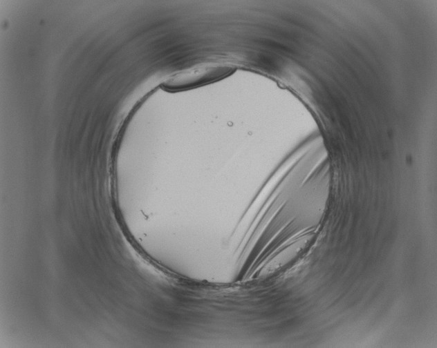 X0000066101143200604071816