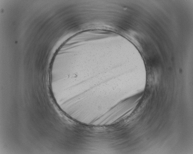 X0000066101144200604071816