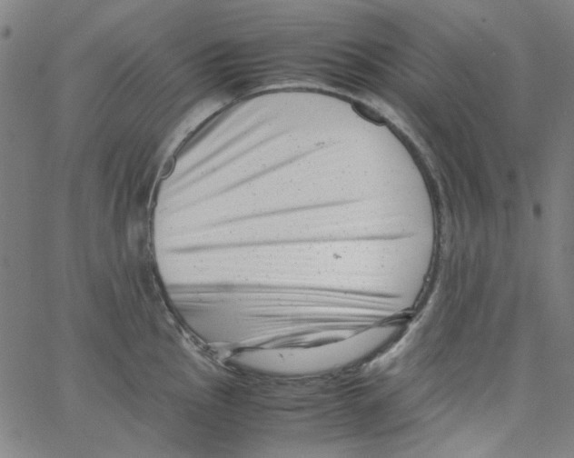 X0000066101145200604071816