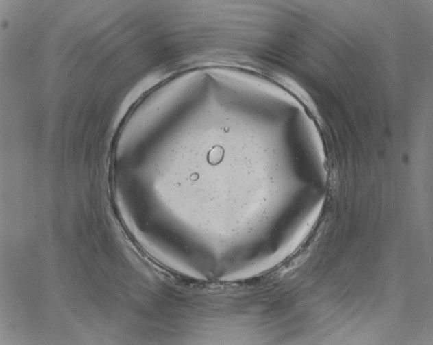 X0000066101146200604071816