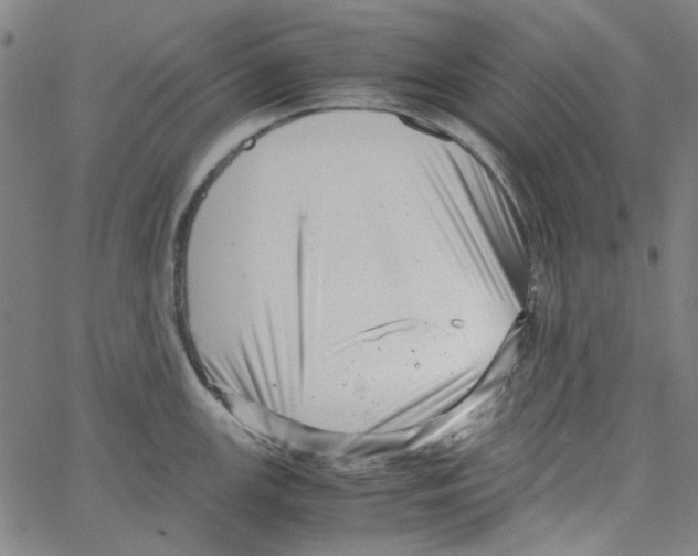 X0000066101147200604071816