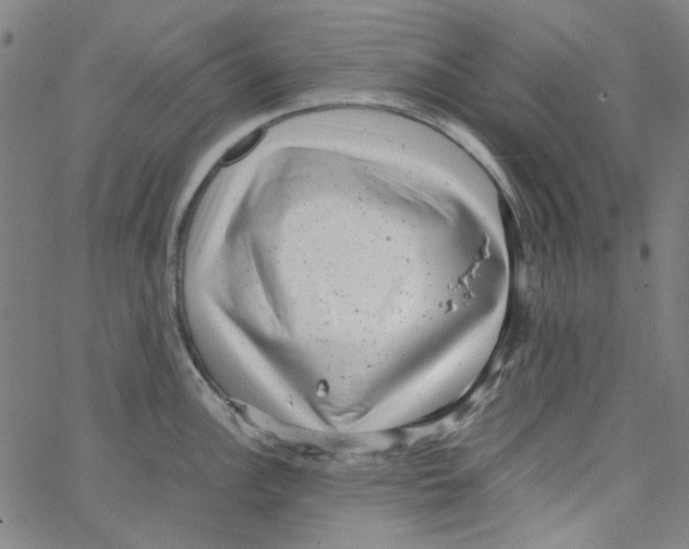 X0000066101148200604071816