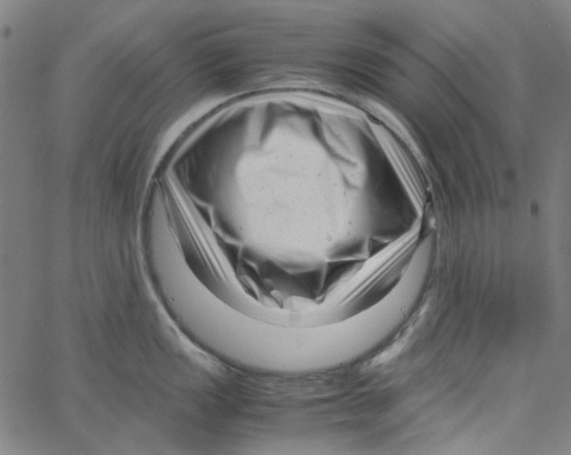 X0000066101149200604071816